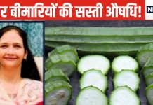 डायबिटीज मरीजों के लिए रामबाण यह हरी सब्जी.! महीनेभर डाइट में शामिल करके देखें, सेहत को होंगे 5 चौंकाने वाले लाभ