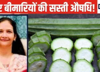 डायबिटीज मरीजों के लिए रामबाण यह हरी सब्जी.! महीनेभर डाइट में शामिल करके देखें, सेहत को होंगे 5 चौंकाने वाले लाभ
