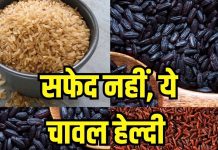 दिनभर में कितना चावल खाना चाहिए? जानें व्हाइट, रेड और ब्राउन राइस में कौन सबसे हेल्दी