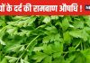 आउट ऑफ कंट्रोल हो रहा हड्डियों का दर्द, सुबह-सुबह चबाना शुरू कर दें ये 5 पत्तियां, यूरिक एसिड का बज सकता है बैंड