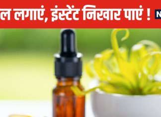 यह अनोखा तेल 7 दिनों में बदल देगा चेहरे की रंगत ! 80 साल तक रख सकता है जवान, रात में यूं करें इस्तेमाल