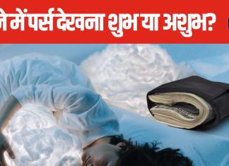 आपको भी सपने में दिखाई देता है पैसों से भरा पर्स? किस तरफ है इसका इशारा, जानें शुभ-अशुभ संकेत