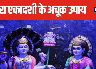 इंदिरा एकादशी पर पूजा में शामिल करें ये 3 फूल, लक्ष्मी-नारायण का मिलेगा आशीर्वाद, पितृ दोष से भी पाएंगे मुक्ति!