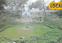 इस जगह रूकी थी भगवान राम की बारात, अब यहां उगता है 'खिचड़ी का पेड़'