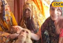 इस मंदिर में 'बजरंगबली' आते हैं रामचरित मानस का पाठ सुनने, देखें तस्वीरें