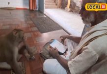 इस मंदिर में आज भी आते हैं भगवान हनुमान! वानर बन सुनते हैं रामचरितमानस का पाठ, देखें VIDEO