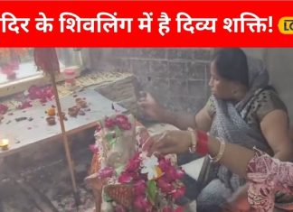 इस शिवलिंग को पत्थर समझकर हटाने लगे थे राजा, तो बहने लगी थी खून की धारा, मन्नत मांगने के लिए लगती है भीड़