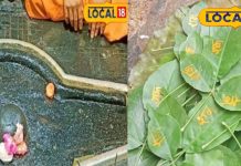 कब है पितृपक्ष का प्रदोष व्रत है? इस दिन करें ये उपाय, दूर होगा पितृदोष