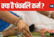 क्या श्राद्ध और तर्पण जितना ही खास है पंचबलि कर्म? क्या है पितृपक्ष में इसका महत्व, आइए जानते हैं पंडित जी से