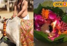 गजच्छाया योग में पितरों के लिए करें ये काम, बरसेगी पितृ कृपा