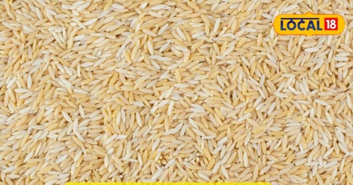 गे-brown-rice-better-than-normal-rice-control-2024-09-129d1e2ebd0dce16d5a24ab8f6243bf8-16x9.jpg