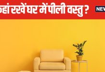 घर का ये कोना पीले रंग की वस्तुओं के लिए शुभ, बनता है धन लाभ का योग! फॉलो करें वास्तु के कुछ खास नियम