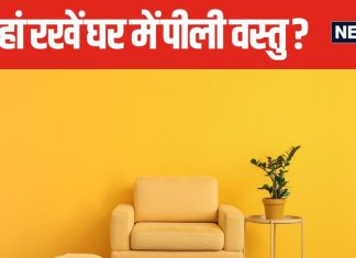घर का ये कोना पीले रंग की वस्तुओं के लिए शुभ, बनता है धन लाभ का योग! फॉलो करें वास्तु के कुछ खास नियम