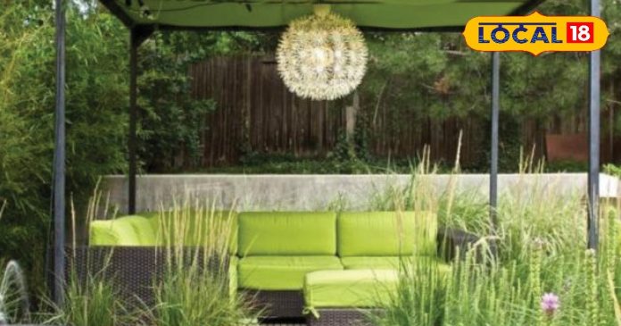 घर की इस दिशा में रखें पौधे, चारों तरफ से