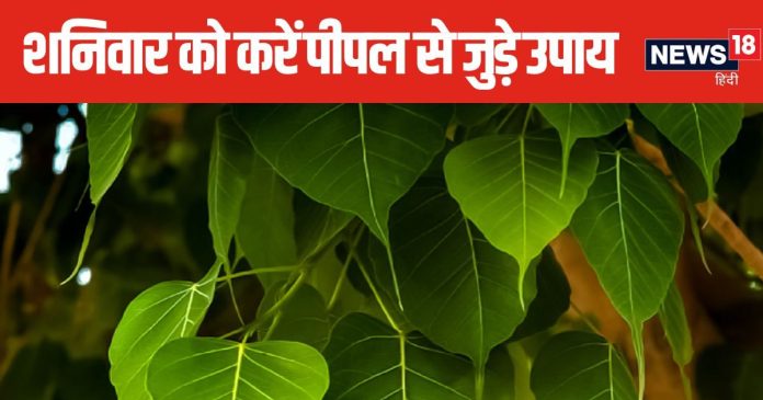 दुखों का लगा है अंबार, शनिवार के दिन जरूर करें