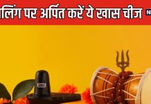 नौकरी में नहीं मिल रही सफलता या हमेशा रहते बीमार? शिवलिंग पर चढ़ाएं उड़द की दाल, होंगे कई चौंकाने वाले लाभ