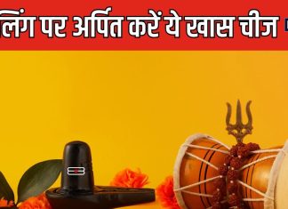 नौकरी में नहीं मिल रही सफलता या हमेशा रहते बीमार? शिवलिंग पर चढ़ाएं उड़द की दाल, होंगे कई चौंकाने वाले लाभ