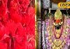 पहाड़ियों पर स्थित मां विंध्यवासिनी का सबसे प्रिय है यह पुष्प, धाम में चढ़ाने से भक्तों की पूरी हो सकती है मनोकामना