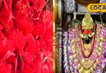 पहाड़ियों पर स्थित मां विंध्यवासिनी का सबसे प्रिय है यह पुष्प, धाम में चढ़ाने से भक्तों की पूरी हो सकती है मनोकामना