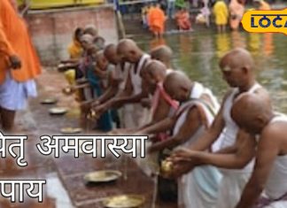 पितृ अमावस्या पर करें 3 सटीक उपाय, पितृदोष से मुक्ति दिलाने में कारगर, बदल सकती है किस्मत!