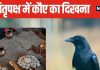पितृ पक्ष में कौए का घर में आना किस बात का संकेत? पानी पीते देखना भी विशेष, माना जाता है पितरों का संदेश