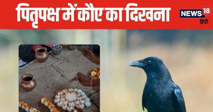 पितृ पक्ष में कौए का घर में आना किस बात