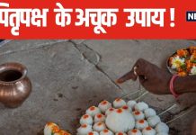 पितृदोष से पाना चाहते हैं मुक्ति? पितृपक्ष है सबसे अच्छा समय, अपनाएं ये सरल और अचूक उपाय