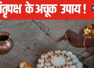 पितृदोष से पाना चाहते हैं मुक्ति? पितृपक्ष है सबसे अच्छा समय, अपनाएं ये सरल और अचूक उपाय