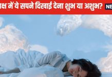 पितृपक्ष के समय सपने में दिख रहे हैं पितर तो समझें उनके ये इशारे, ऐसे 6 तरह के ड्रीम दिखाई देने के जानें संकेत