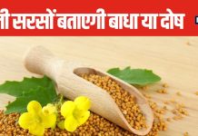 पीली सरसों के तैरते दानें बताएंगे दोष या बाधा, इनसे पता लगाएं आपके ऊपर हुए तंत्र-मंत्र का, बस करना होगा ये एक काम