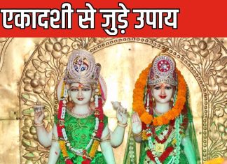 बड़े बदलाव के लिए परिवर्तिनी एकादशी पर करें उपाय, 5 चीजों का दान दूर करेगा धन की कमी, कष्टों से मिलेगी मुक्ति!