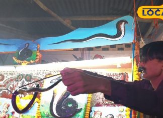 भगवान की महाआरती में अचानक से दिखा ब्लैक कोबरा, माना जा रहा ये संकेत