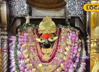 मां विंध्यवासिनी का दर्शन करना हुआ आसान, बस वेबसाइट पर एक क्लिक करते ही मिलेगी पूरी जानकारी