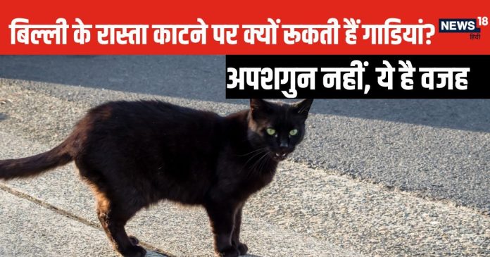 रूक जाओ! बिल्ली ने रास्ता काट दिया... अब कौन मानता
