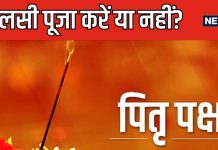 शुरू होने वाला है पितृ पक्ष, जान लें इस दौरान तुलसी पूजा करनी चाहिए या नहीं? पंडित जी ने दूर किया असमंजस