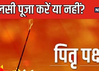शुरू होने वाला है पितृ पक्ष, जान लें इस दौरान तुलसी पूजा करनी चाहिए या नहीं? पंडित जी ने दूर किया असमंजस