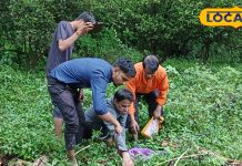 साल में एक दिन लगता है यहां सांपों का मेला, मन्नत पूरी होने पर लोग छोड़ते हैं नाग-नागिन का जोड़ा