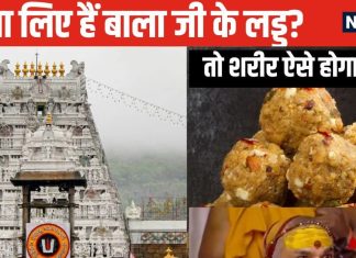 स्वामी जी…गलती से तिरुपति बालाजी का लड्डू खा लिया, अब क्या करें? ज्योतिर्मठ शंकराचार्य ने बताया शरीर को पवित्र करने के उपाय