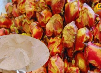 ये है व्रत का सुपरफूड, वजन घटाने से लेकर BP तक करे कंट्रोल, सेहत लिए है रामबाण