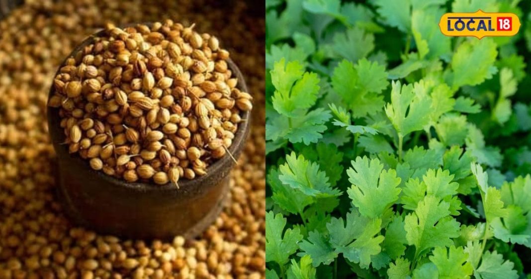 वजन घटाने से लेकर त्वचा निखारने तक, किचन में मौजूद ये चीज कई मर्जों की है दवा