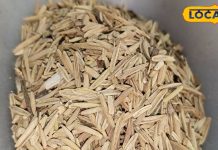 पेट और पथरी संबंधी समस्याओं में चमत्कारी है ये औषधि, जानें इसको अनेकों फायदे