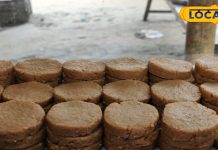 यहां के पेड़ा का हर कोई दीवाना, टेस्ट ऐसा कि बोल पड़ेंगे वाह – Bharat.one हिंदी