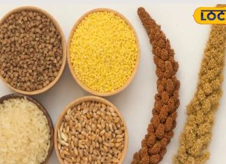 आप कब शुरू करेंगे छोटे और मोटे अनाज का सेवन, इस खास अनाज से मिलेगी ठंड में गर्माहट और ताकत! – Bharat.one हिंदी