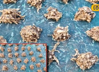 मशहूर है उत्तराखंड में पेठे की बड़ी, उड़द को सिलबट्टे पर पीसकर की जाती है तैयार, सालभर ऐसे रखें सुरक्षित