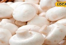 बड़े कमाल की है ये छाता वाली सब्जी, स्वाद के साथ सर्वाइकल कैंसर में भी मददगार; जानें और भी फायदे