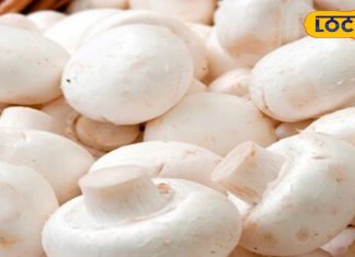 बड़े कमाल की है ये छाता वाली सब्जी, स्वाद के साथ सर्वाइकल कैंसर में भी मददगार; जानें और भी फायदे