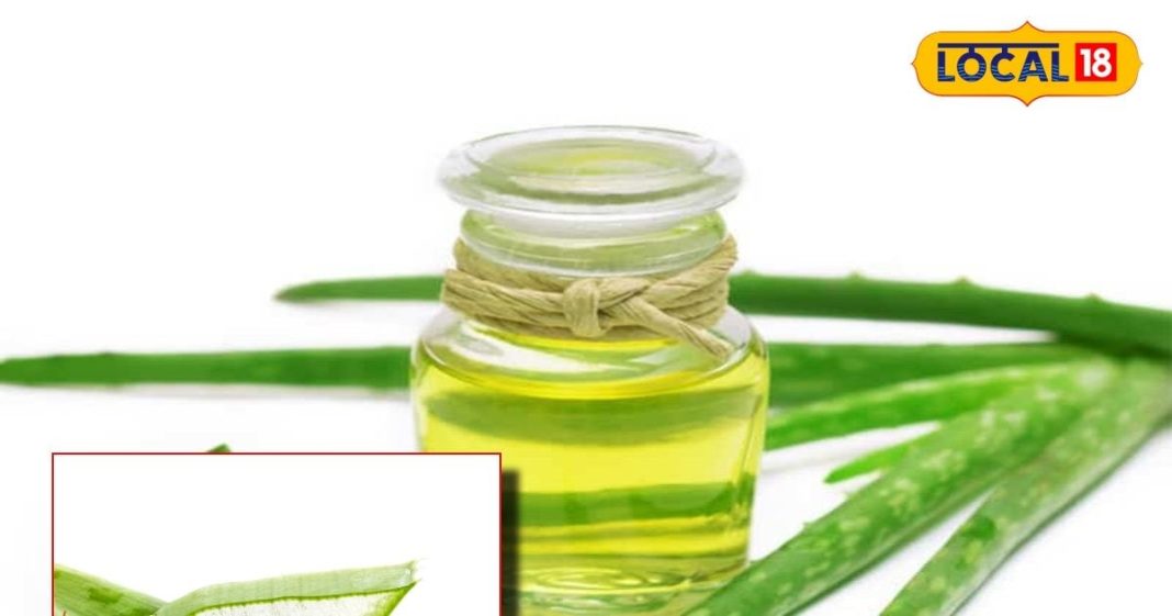 How to get naturally black smooth hair from aloe vera oil benefits for skin treatment – Bharat.one हिंदी