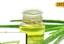 How to get naturally black smooth hair from aloe vera oil benefits for skin treatment – Bharat.one हिंदी
