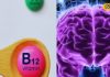 क्या आपके शरीर में विटामिन की कमी है? इससे Nervous System पर हो सकता है खतरा, ऐसे करें पूर्ति