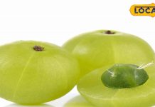 स्किन से जुड़ी समस्याएं हो जाएंगी दूर, झुर्रियां हो जाएंगी गायब; बस इस फल से कर लें दोस्ती – Bharat.one हिंदी